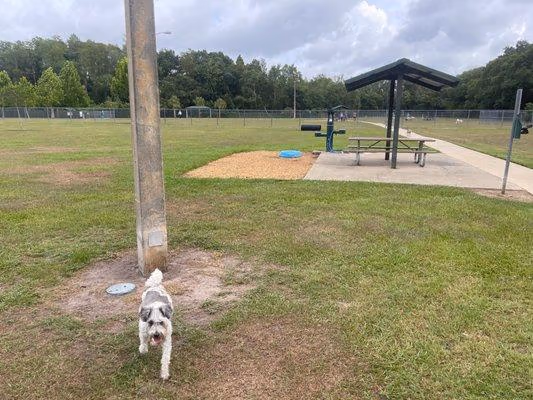 Logan Gate Dog Park photo 2